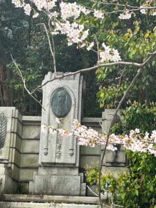 高瀬川、音羽山清水寺の桜